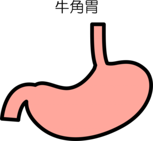 胃の形は全員同じじゃない 痛くない経鼻内視鏡検査をお探しの方は新横浜のららぽーと横浜クリニックへ