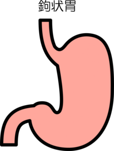 胃の形は全員同じじゃない 痛くない経鼻内視鏡検査をお探しの方は新横浜のららぽーと横浜クリニックへ