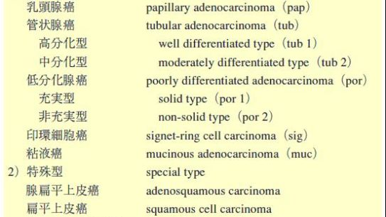 胃癌の組織型分類