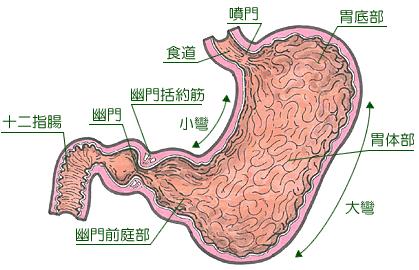 検診のバリウム検査の異常所見の数々